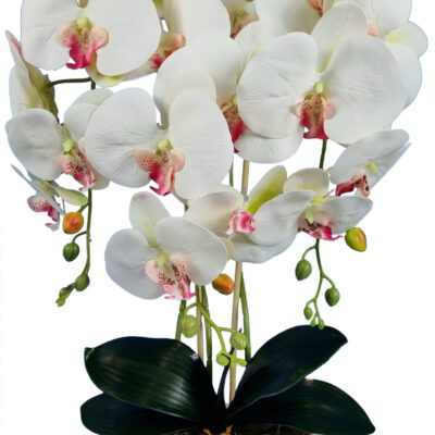 Storczyk sztuczny 3pgb2 orchidea jak żywy