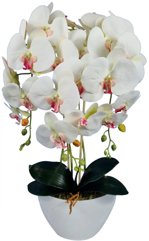 Storczyk sztuczny 3pgb2 orchidea jak żywy